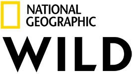 National_Geographic_Wild_logo